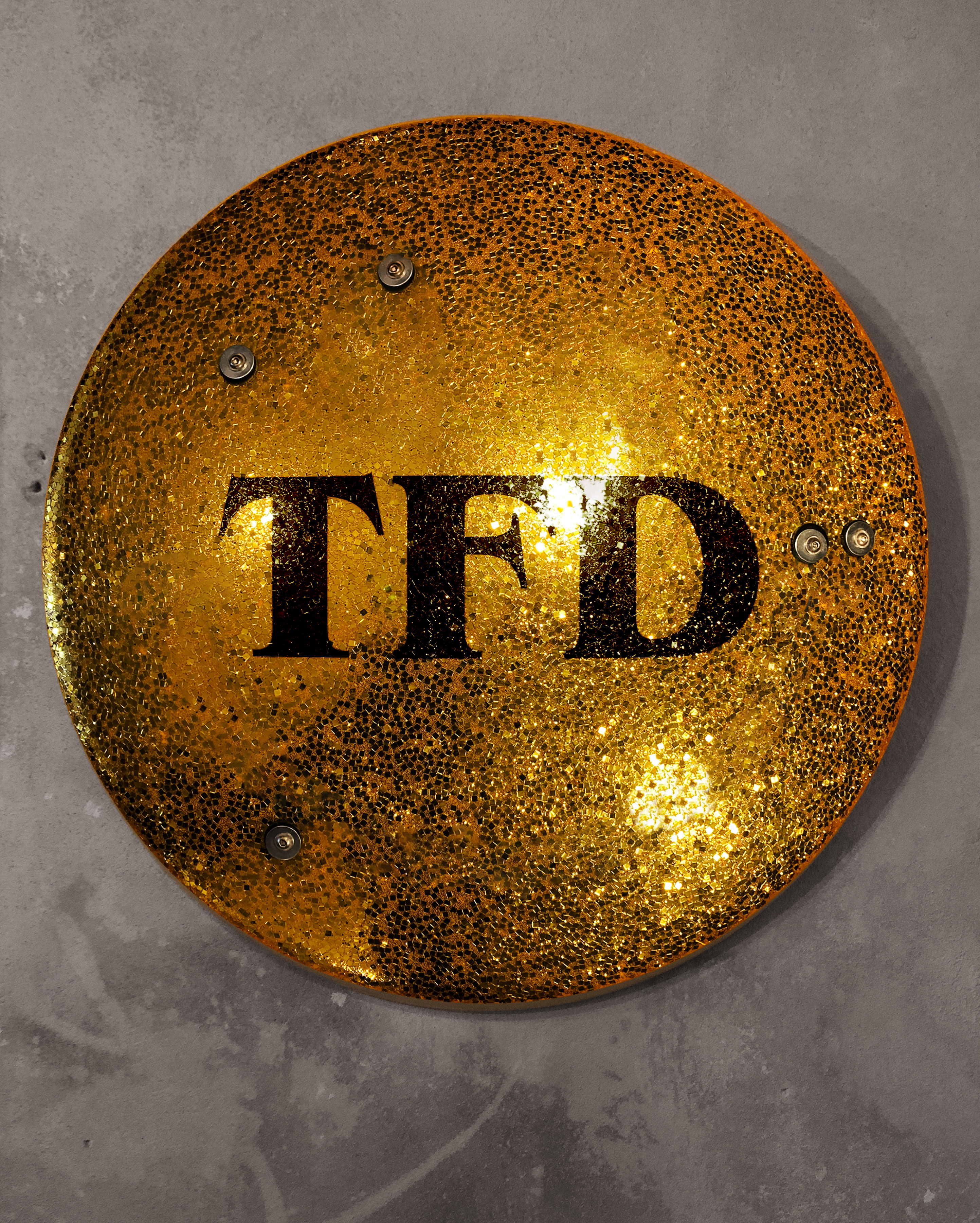TFD Riot Shield